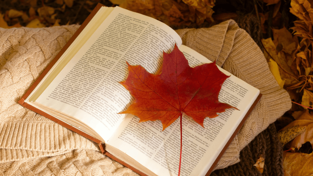 Livre ouvert sur un pull en laine avec une feuille d’automne posée dessus – illustration de la passion de Cécile Debray pour les concours littéraires, la visibilité et la croissance d’autrice.